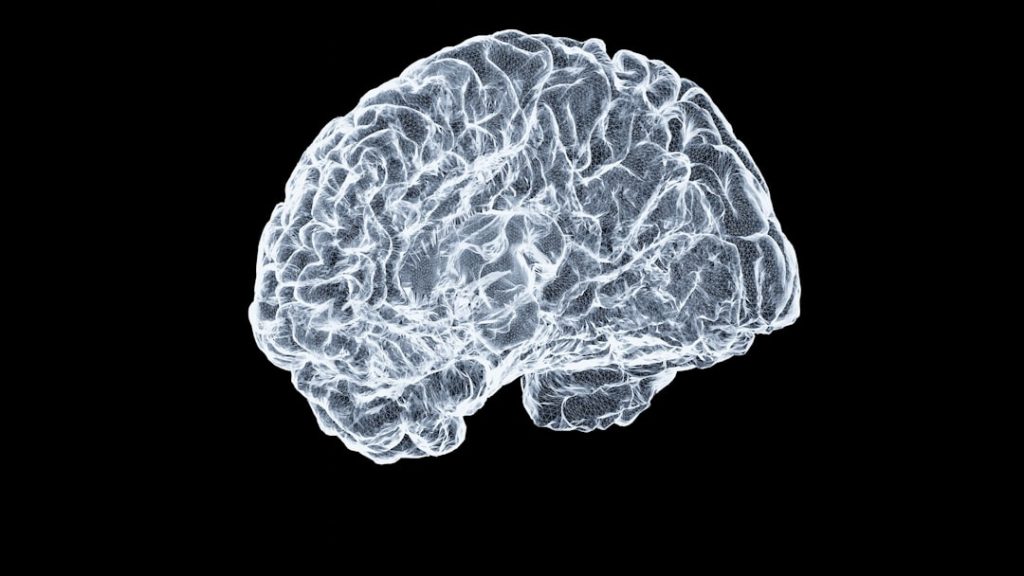 The Psychology of Winning and Losing in Forex Trading: How Your Brain Sabotages Your Strategy — Photo by Shawn Day on Unsplash